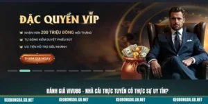 Vivu88