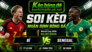 Đội hình dự kiến trước trận  Bỉ và Senegal