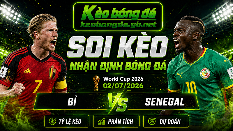 Đội hình dự kiến trước trận  Bỉ và Senegal