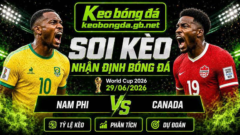 Đội hình dự kiến trước trận  Nam Phi và Canada