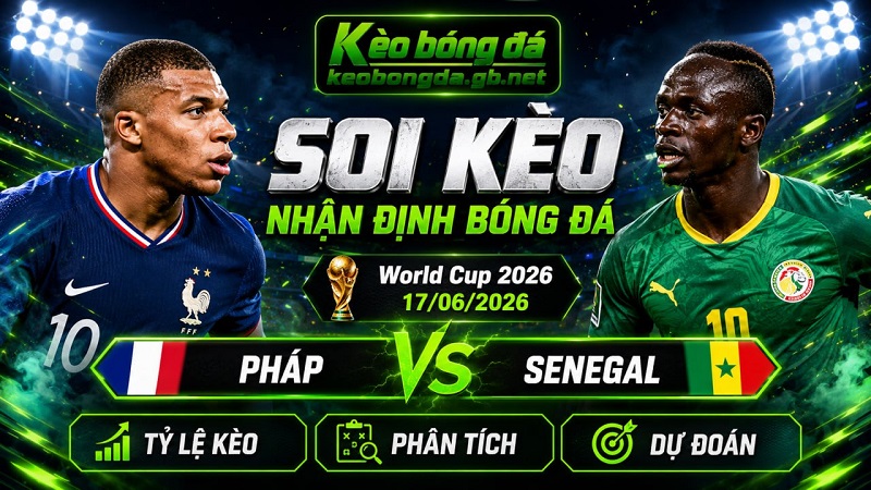 Đội hình dự kiến trước trận Pháp và Senegal