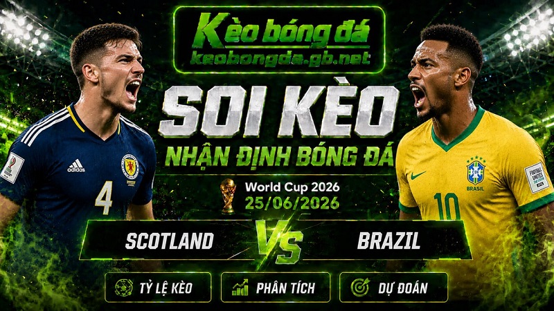 Đội hình dự kiến trước trận Scotland và Brazil