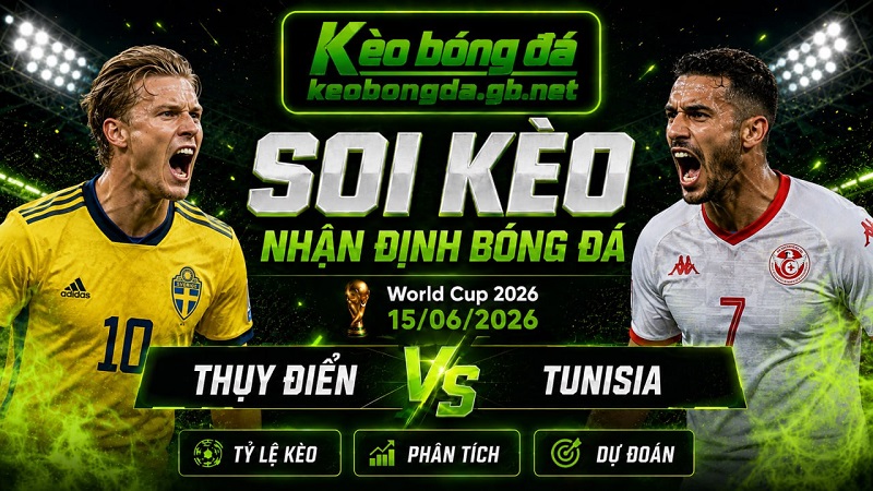 Đội hình dự kiến trước trận Thụy Điển và Tunisia
